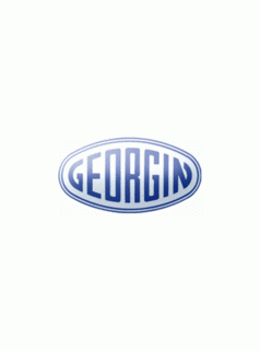GEORGIN壓力開關