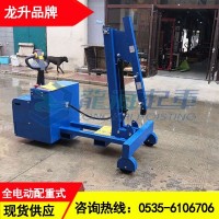 吉林液壓小吊機(jī)多少錢,450kg龍升液壓小吊機(jī)全電動型