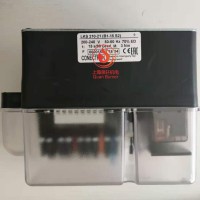 利雅路伺服電機LKS210-21