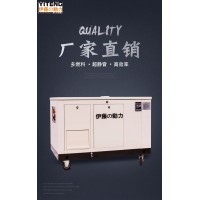 進口20KW汽油發電機YT20RSE-ATS
