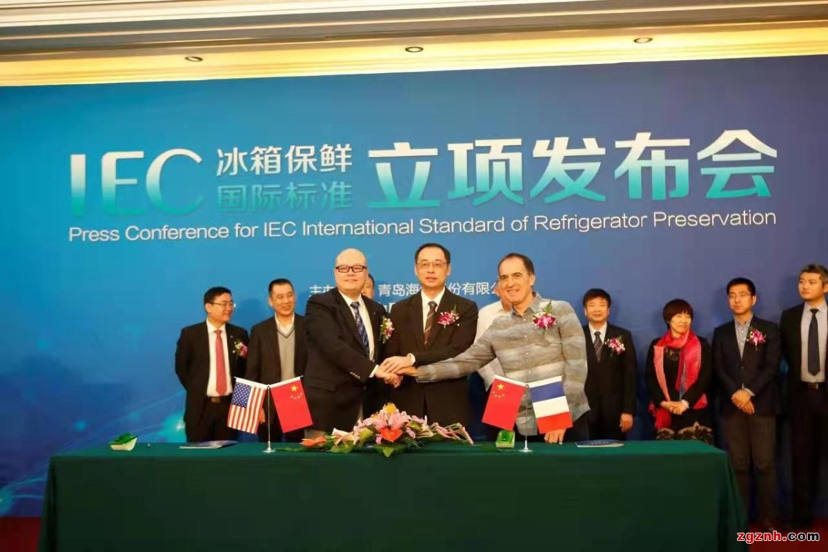 揚(yáng)起國際標(biāo)準(zhǔn)的“帆”，中國企業(yè)出海乘風(fēng)破浪